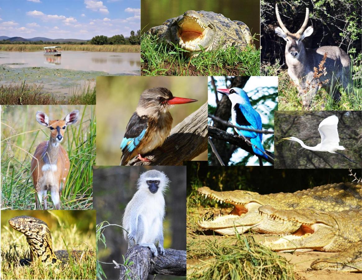 Crocodile Pools River Safaris Gaborone Bagian luar foto